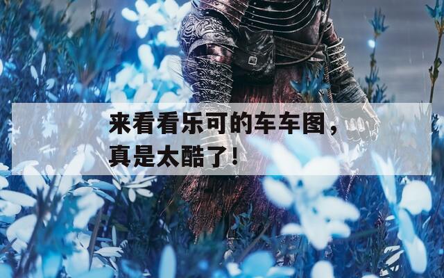 来看看乐可的车车图，真是太酷了！