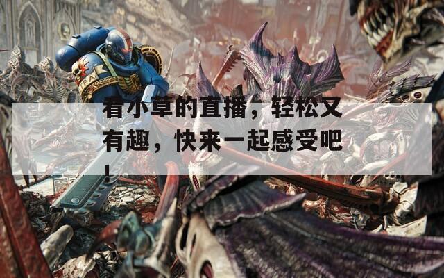 看小草的直播，轻松又有趣，快来一起感受吧！