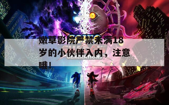 嫩草影院严禁未满18岁的小伙伴入内，注意哦！