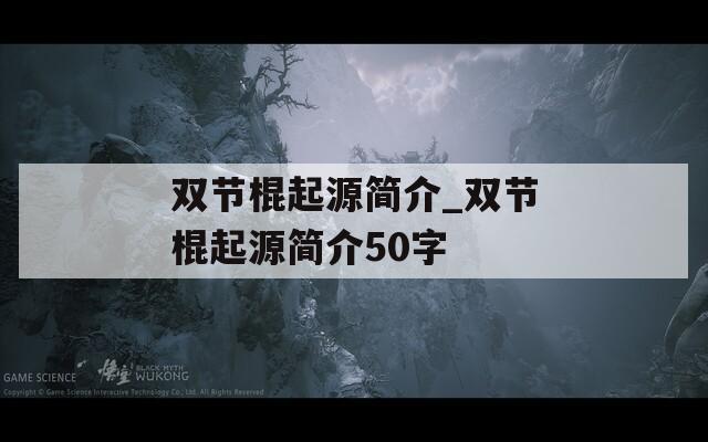 双节棍起源简介_双节棍起源简介50字